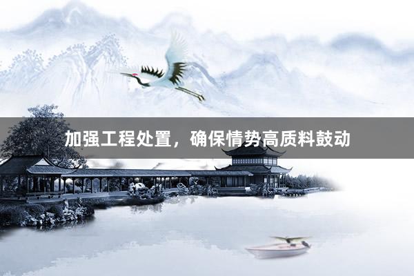 加强工程处置，确保情势高质料鼓动