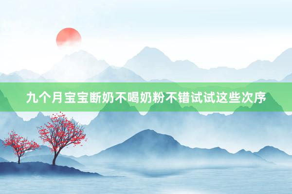 九个月宝宝断奶不喝奶粉不错试试这些次序